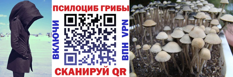 как найти   Яблоновский  omg сайт  Галлюциногенные грибы Cubensis 